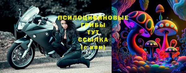 ECSTASY Алексин