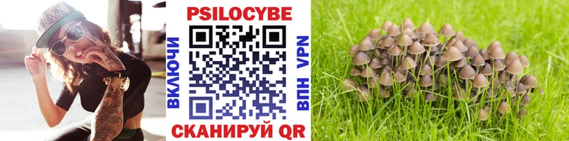 хочу наркоту  Нолинск  Псилоцибиновые грибы прущие грибы 
