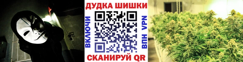 Шишки марихуана план Нолинск